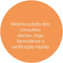 Mostra estado das consultas, alertas, tags, formulários e verificação rápida.